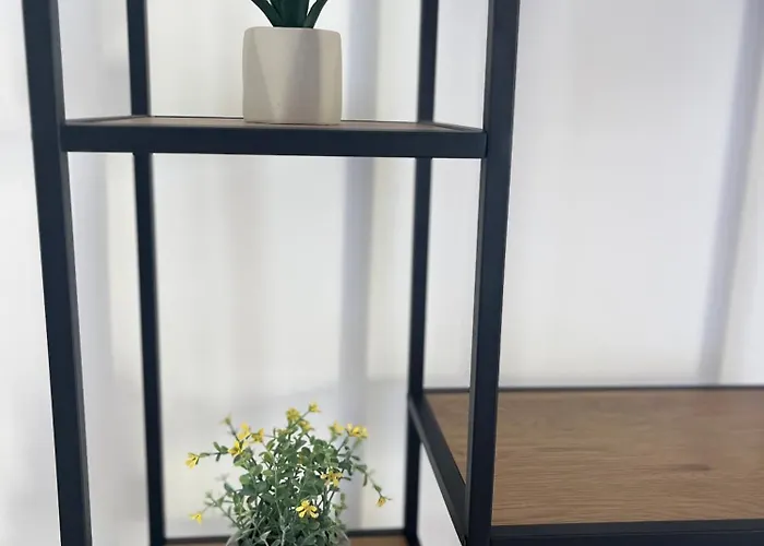 Nieves 라 올리바